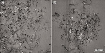 高溫后碳納米管水泥基復合材料